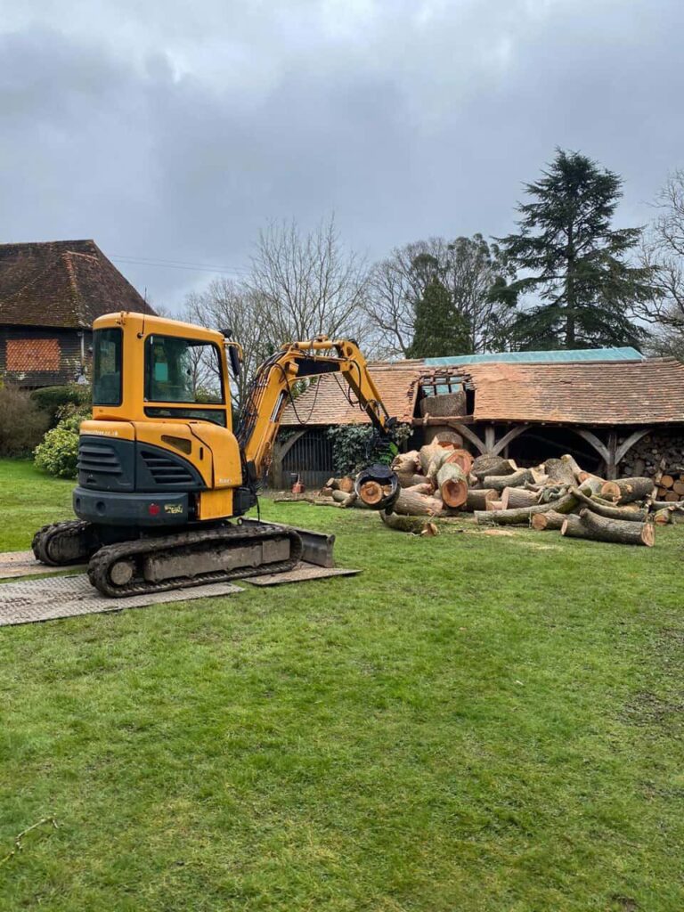 This is a photo of a tree which has grown through the roof of a barn that is being cut down and removed. There is a digger that is removing sections of the tree as well. Radcliffe on Trent Tree Surgeons