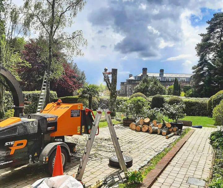 This is a photo of a tree being felled. A tree surgeon is currently removing the last section, the logs are stacked in a pile. Radcliffe on Trent Tree Surgeons