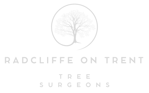 Radcliffe on Trent Tree Surgeons
